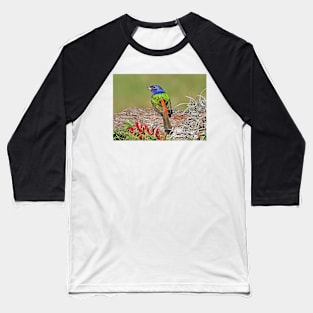 Painted Bunting Bird Photograph Notecard Baseball T-Shirt